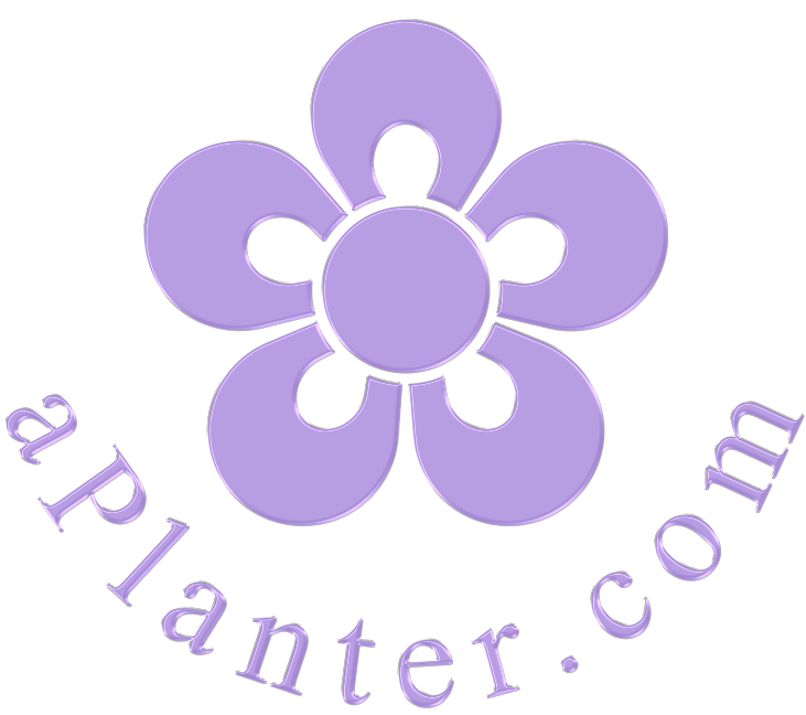 aplanter