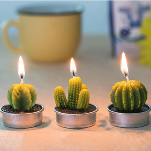 12pcs Succulent Cactus Home Candles Decor aplanter