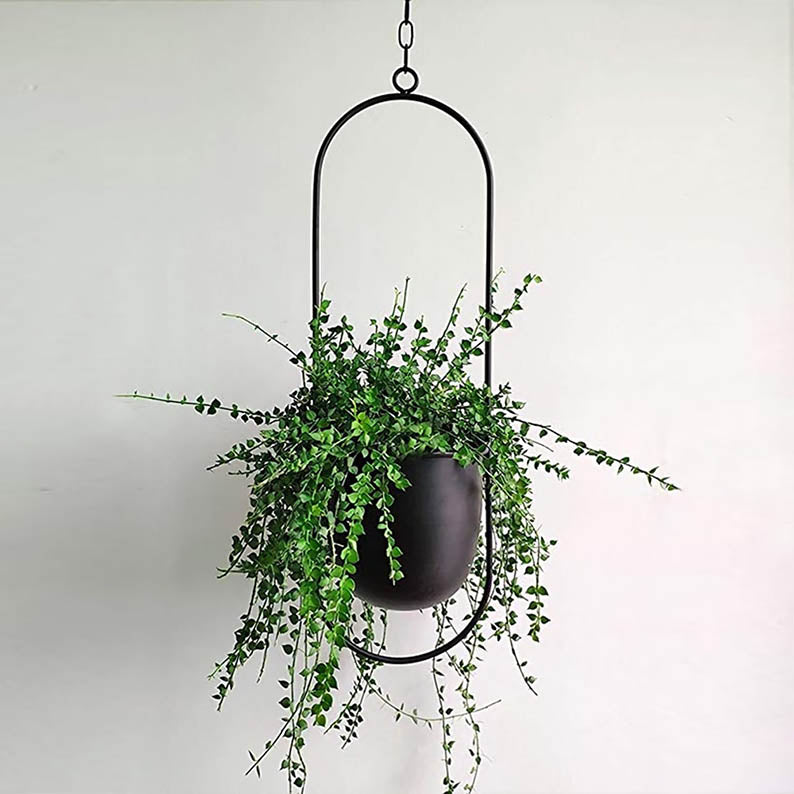 Iron Hanging Garden Flower Pot