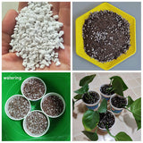 Perlite Pellet Soil Nutrient Substrate