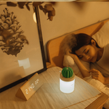 Cactus Humidifier Lamp aplanter