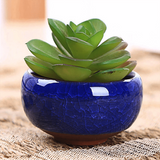 Ceramic Flower Pots (Set Of 8) aplanter