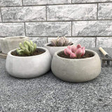 Concrete Flower Plants Pot Molds