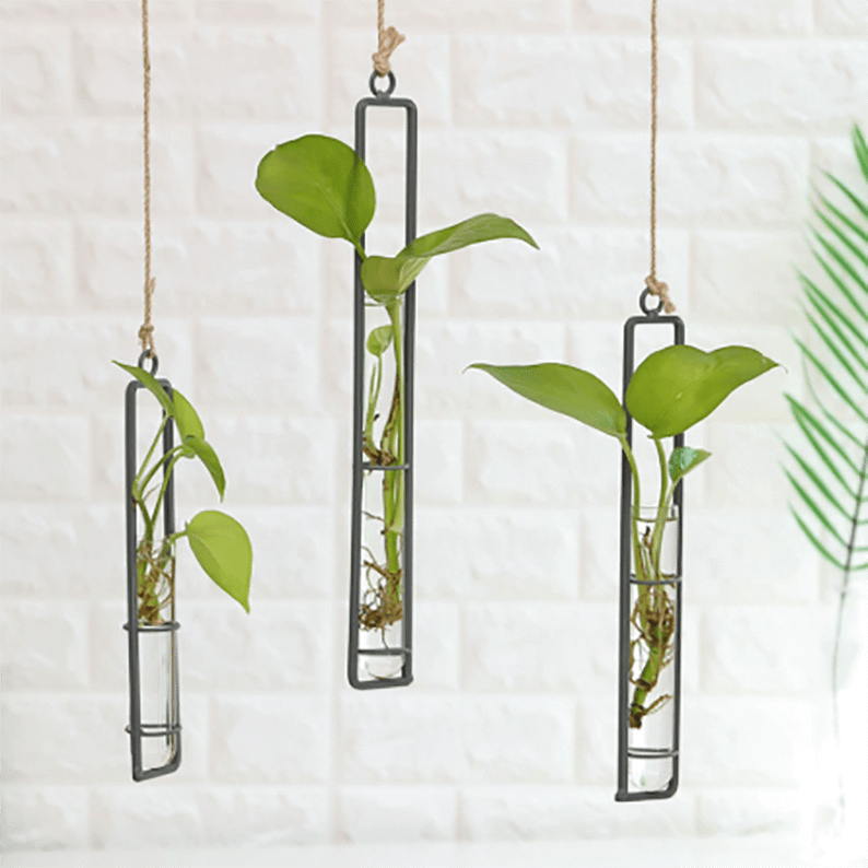 Garden Glass Hydroponics Transparent Hanging Flower Pot