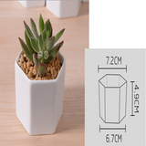 Hexagon Flowerpots White Ceramic Succulent Plant Pot with Bamboo Stand