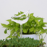 Houseplant Automatic Self Watering Glass