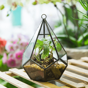 Modern Geometric Hanging Clear Glass Diamond Flower Pots aplanter