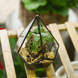 Modern Geometric Hanging Clear Glass Diamond Flower Pots aplanter