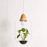 Modern Minimalist Creative Design Garden Pendant Light
