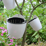 Self Watering Wall Hanging Flower Pots aplanter