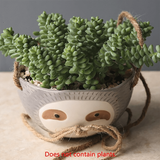 Wall Hanging Ceramic Sloth Flower Pot